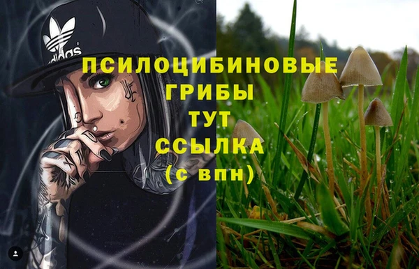 mix Арсеньев