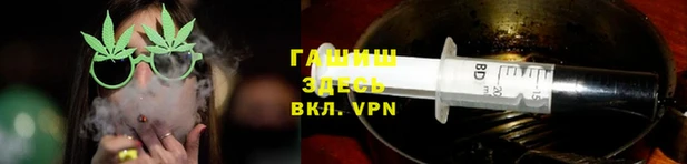шишки Аркадак