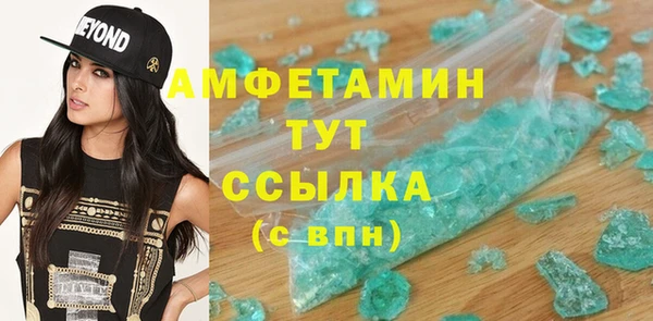шишки Аркадак
