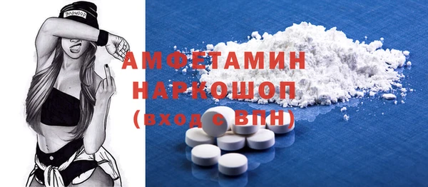шишки Аркадак