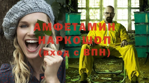 шишки Аркадак
