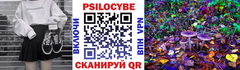 маркетплейс как зайти  где купить наркоту  Краснообск  Псилоцибиновые грибы Psilocybine cubensis 