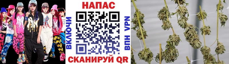 Марихуана марихуана  дарнет шоп  Краснообск 